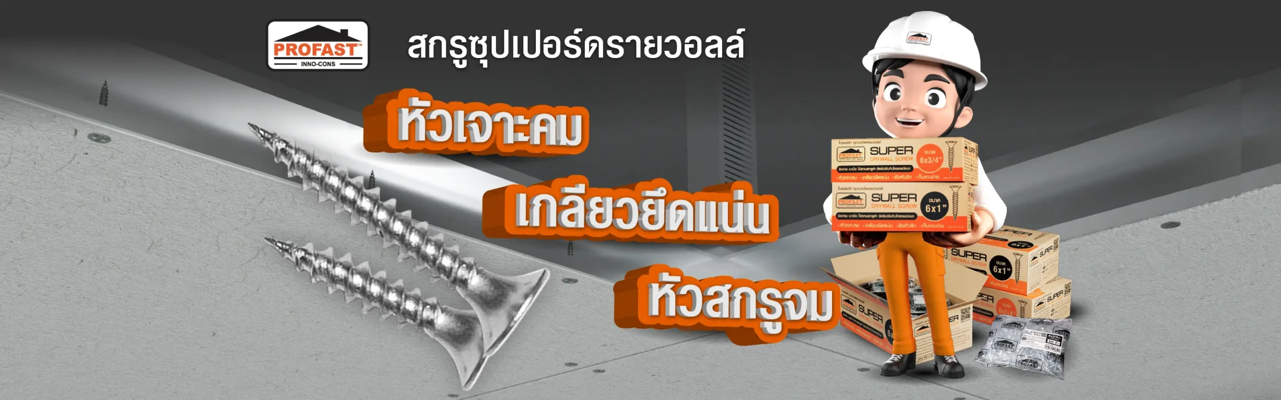 สกรูซุปเปอร์ดรายวอลล์ Profast