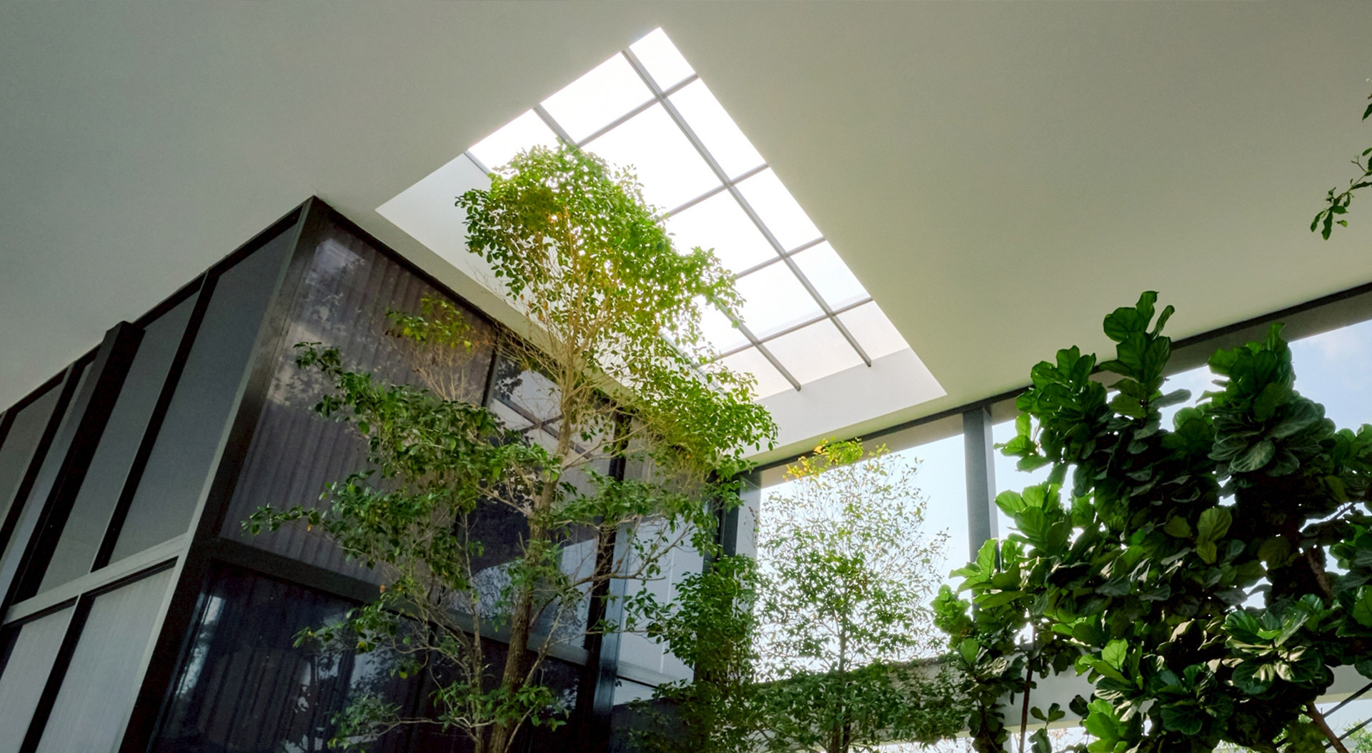 แผ่นหลังคาอะคริลิกโปร่งแสง SHINKOLITE Grand